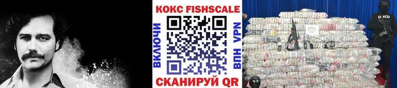 Купить где  Корсаков  КОКАИН Fish Scale 