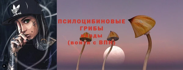 ГАЛЛЮЦИНОГЕННЫЕ ГРИБЫ Кукмор