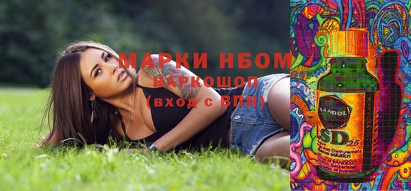 ГАЛЛЮЦИНОГЕННЫЕ ГРИБЫ Кукмор