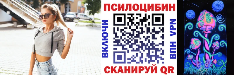 Купить Корсаков Псилоцибиновые грибы Psilocybine cubensis